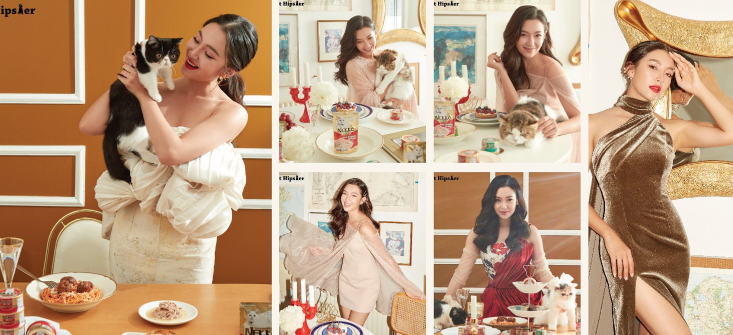 Pet Hipster X Bella Ranee Wardrobe — Garment Services